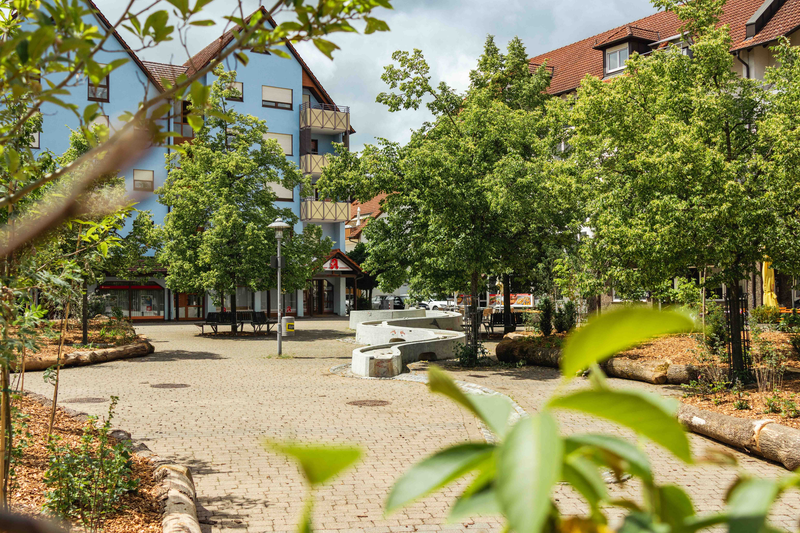 Viel Grün und Bäume mitten auf einem Platz in der Innenstadt, im Hintergrund sind Häuser